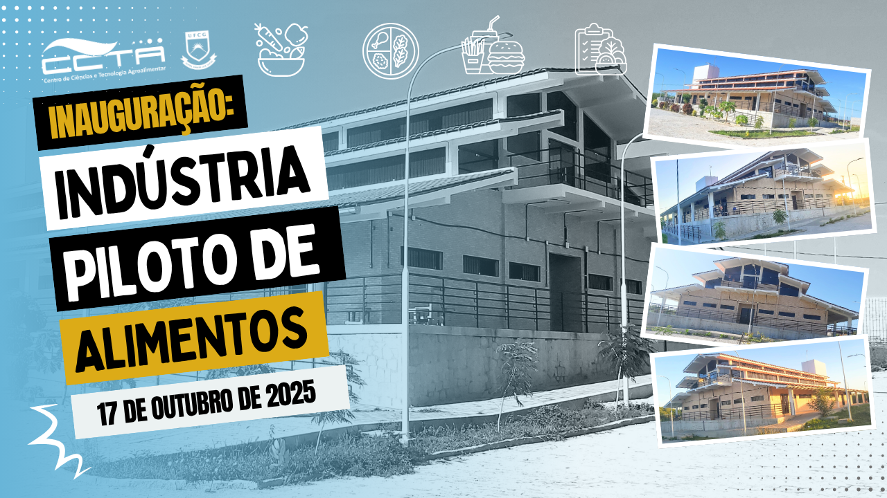 imagem sem descrição.