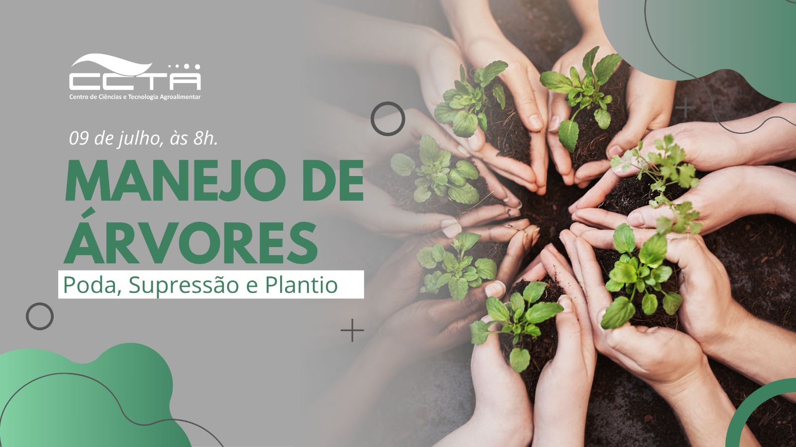 imagem sem descrição.