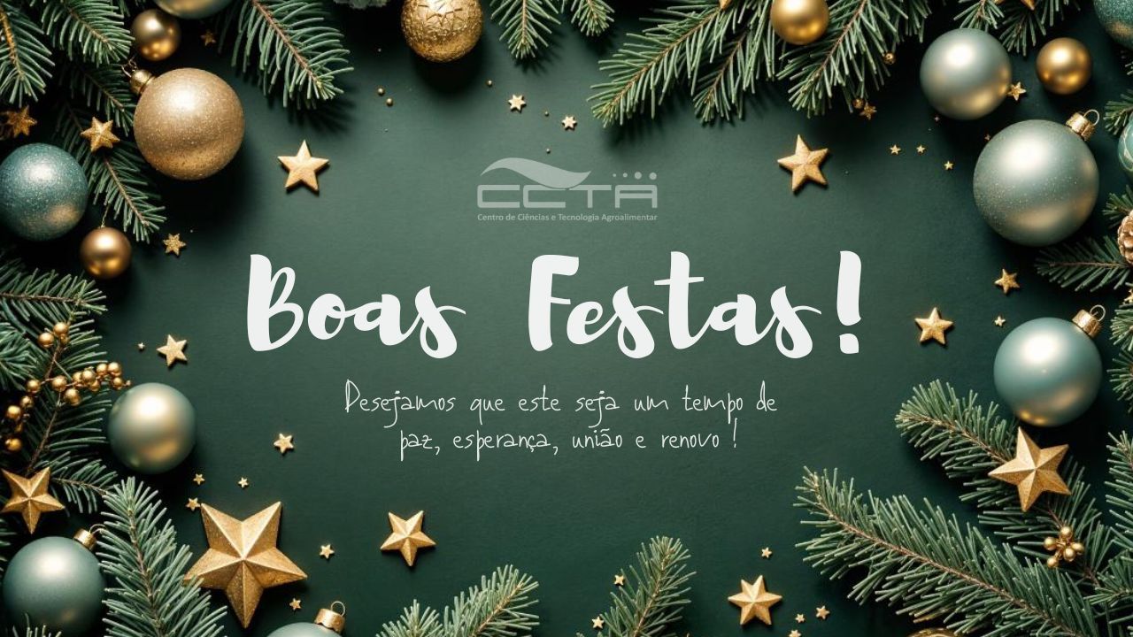 Boas Festas e Feliz 2025