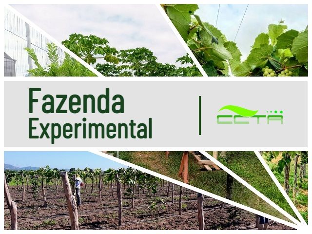 Capa-fazenda