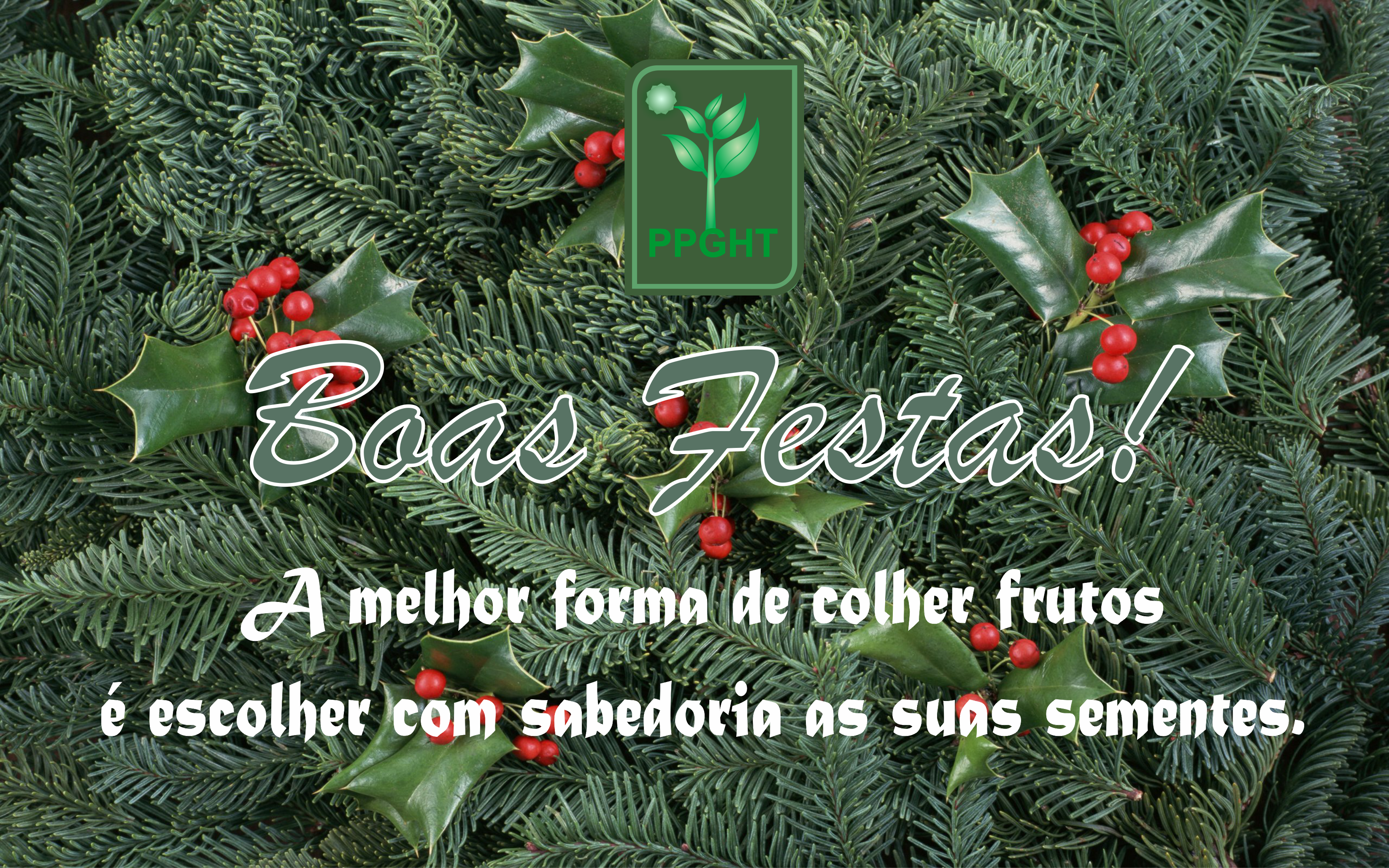 Boas Festas!